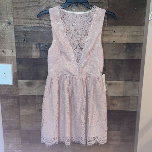 Tobi Blush Lace Overlay Sleeveless Plunging Neckline Mini Dress, NWT - Picture 4 of 11
